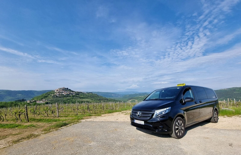 Mercedes Vito  - picture 5